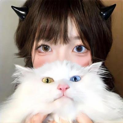 无可奈何我们的恋爱论