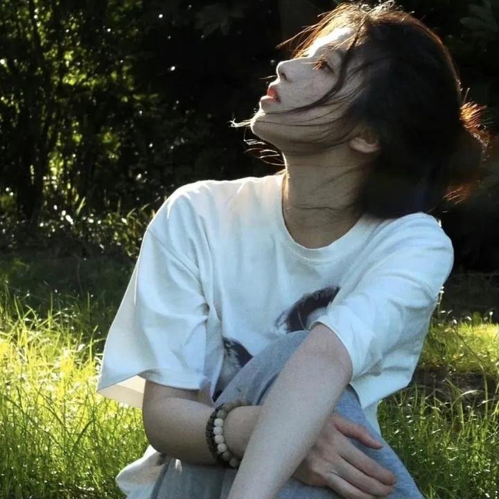 没人瞭波斯猫